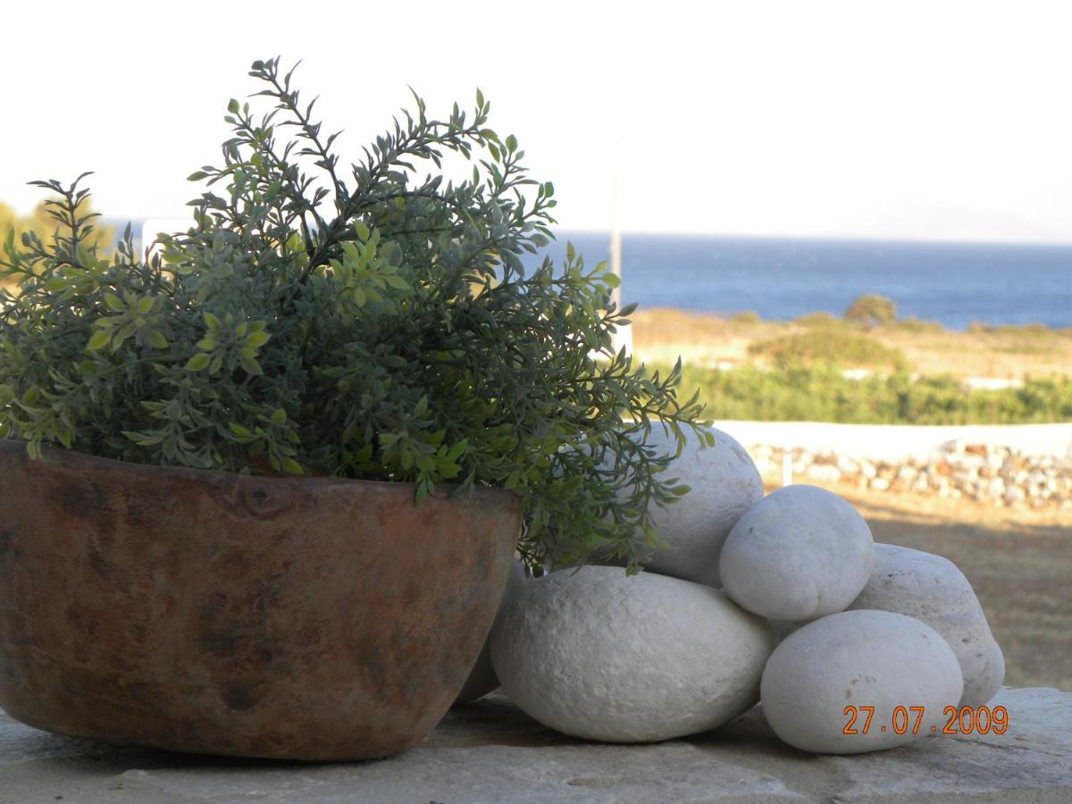 Villa Petradi Ambelas Exteriér fotografie