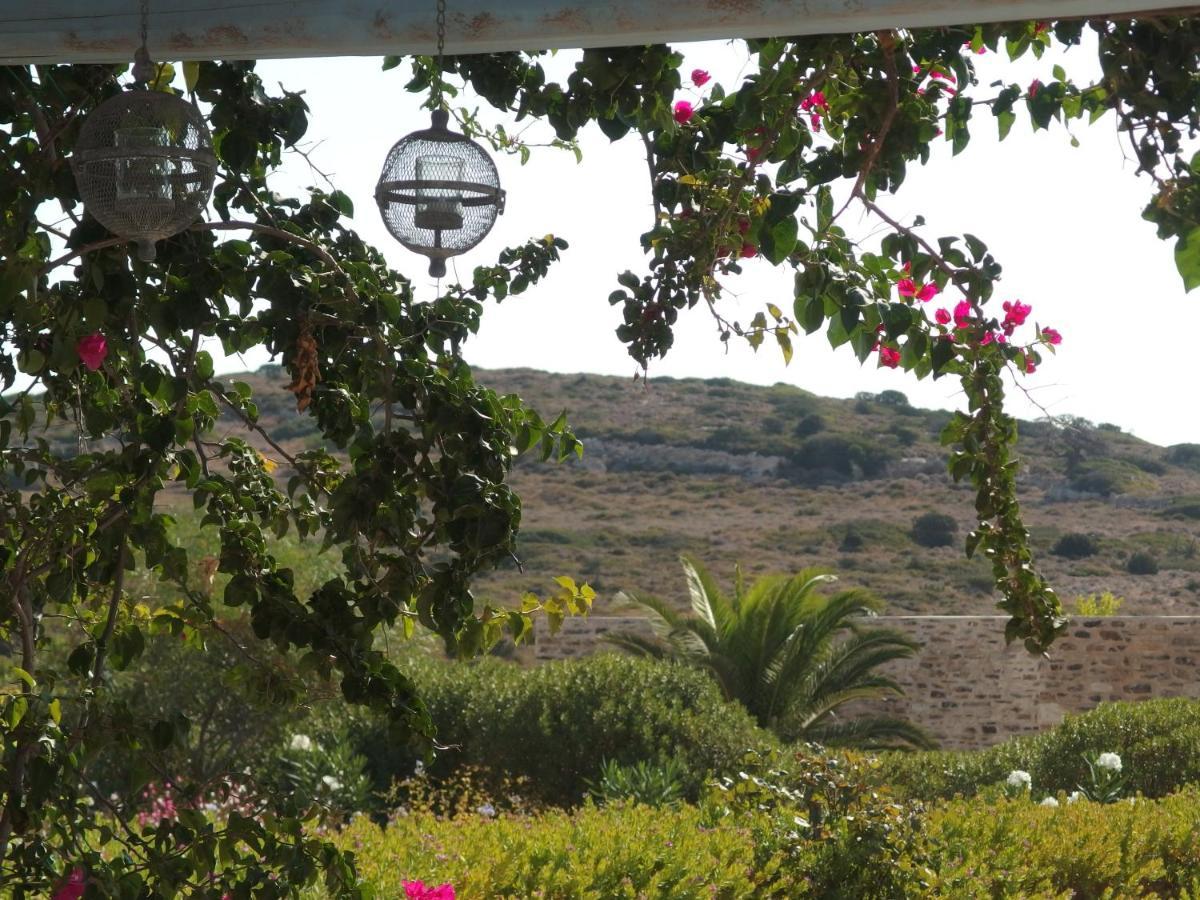 Villa Petradi Ambelas Exteriér fotografie