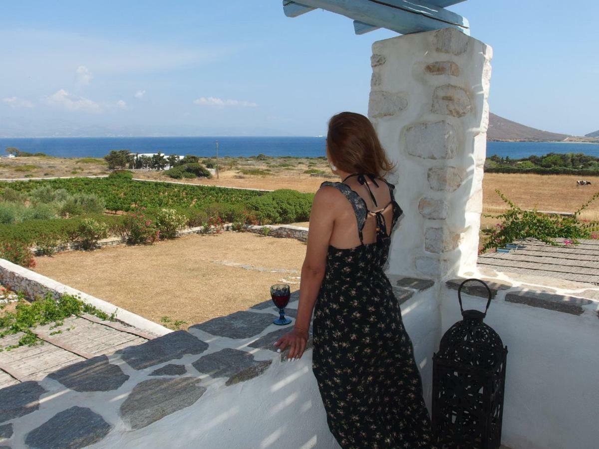 Villa Petradi Ambelas Exteriér fotografie